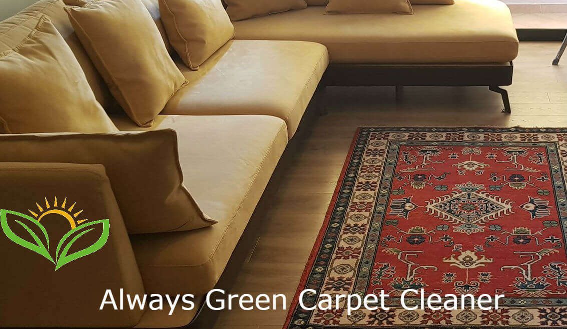 Always Green Carpet Cleaner